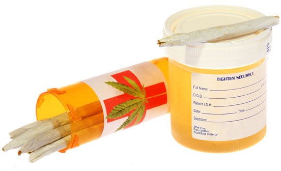 Synthetic Urine Prime Thompson Key Largo FL